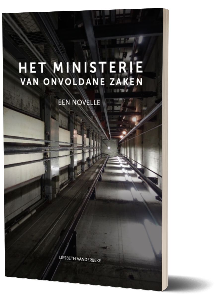 Het ministerie van onvoldane zaken van Liesbeth Vanderbeke
