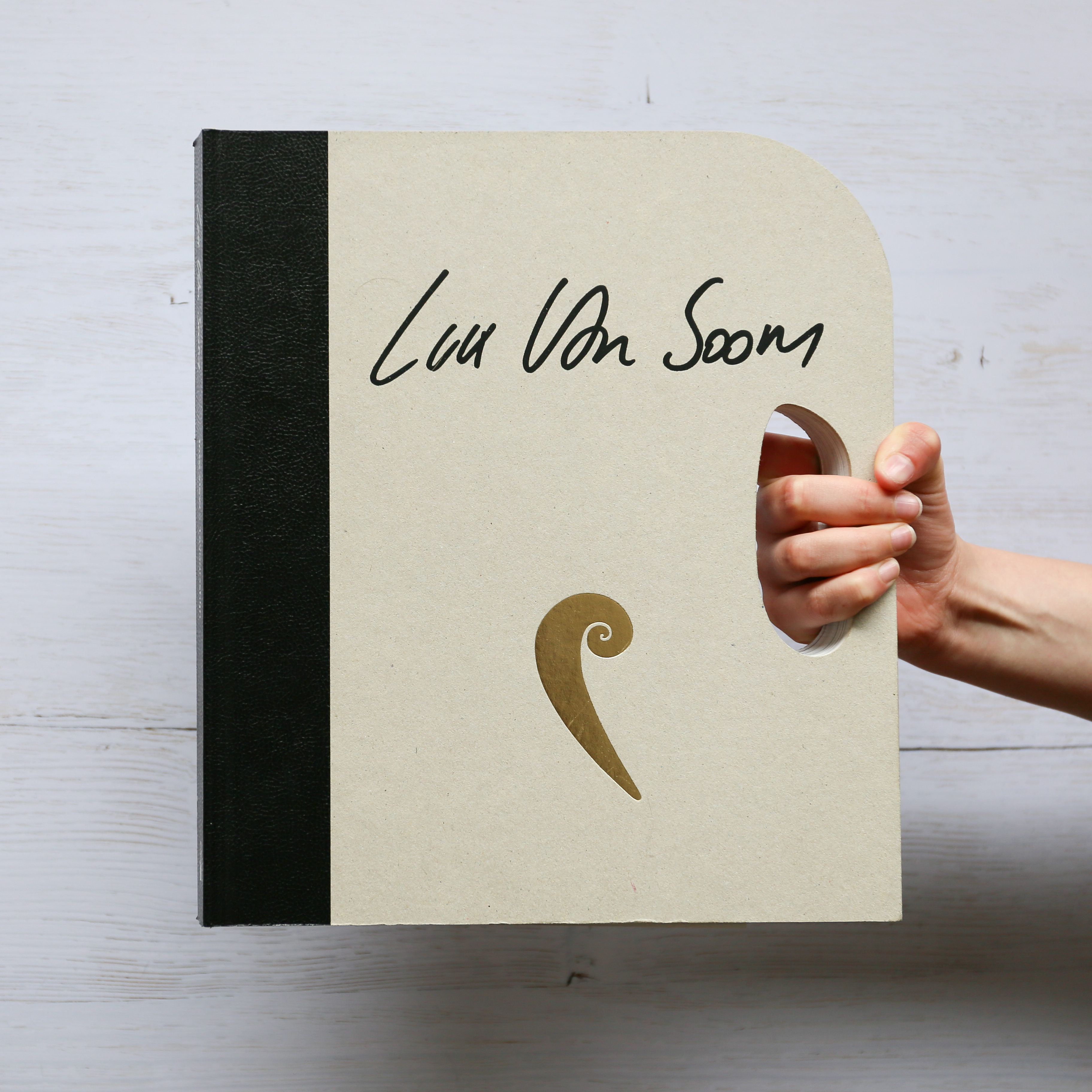 Tevoorschijn Luk Van Soom